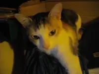 IMGP8573.webp