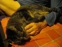 IMGP8568.webp