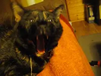 IMGP8569.webp