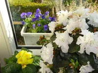 DSC00818.JPG
