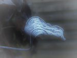 DSCN6260.JPG