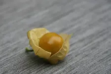 Andenbeere Beas Dicke0117.webp