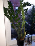 20200119_162839.jpg