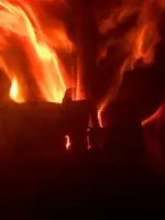 Feufeu.webp