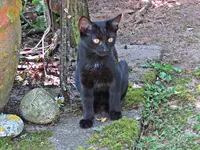 IMG_0504 v (2).webp
