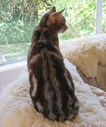 IMG_0632 v (2).webp