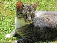 IMG_0531 v (2).webp