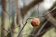 image001.webp