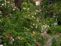 IMG_0622.webp