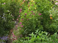 IMG_0834.webp