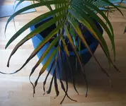 20200126_120323.webp