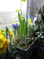 IMG_7050.webp