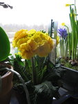 IMG_7051.JPG