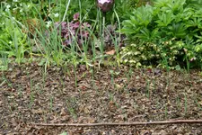 EM-Vortrag2016 027.webp
