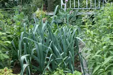 EM-Vortrag2016 038.webp