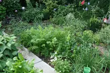 EM-Vortrag2016 039.webp