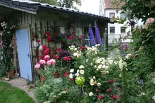 EM-Vortrag2016 106.webp