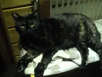 IMGP8591.webp