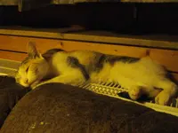 IMGP8583.webp