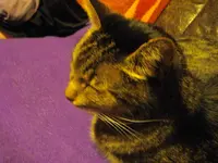 IMGP8585.webp