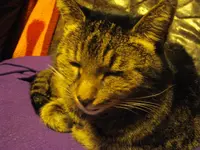 IMGP8586.webp
