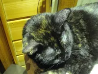 IMGP8590.webp