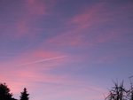 DSCF3425 (2).JPG