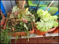 c022.webp