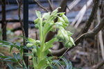DSC08602.JPG