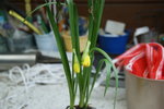 DSC08598.JPG