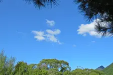IMG_0763 v - Copy.webp