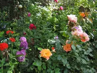 IMG_1562.webp