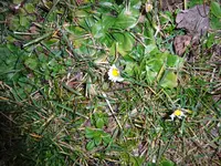 DSC00820.JPG