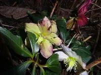 DSC00821.webp
