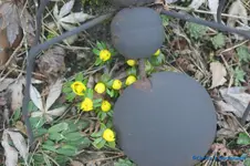 comp_DSC06195.webp