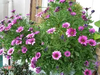 IMG_7058.webp