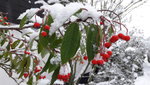 20190131_095920.jpg