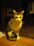 IMGP8600_1.JPG