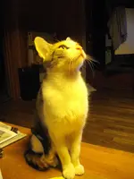 IMGP8602.webp