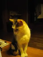 IMGP8603.webp