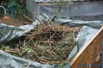 comp_DSC08630.jpg