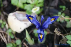 comp_DSC08632.webp