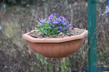 comp_DSC08637.webp