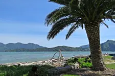 IMG_9175 - Copy.webp