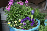 frühling3317.JPG