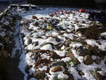 Obere Anlage Teilansicht_06.02.2020.JPG