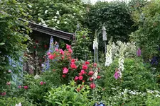 Juni8816g.webp
