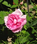 IMG_1475.JPG