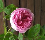 IMG_1326.JPG