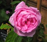 IMG_1542.JPG